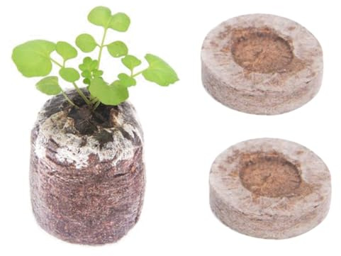 HAKIDZEL 10 Stück 3cm Torfpellets Pflanztorf Pellets aus Torf Einfach zu Bedienen Nährstoffreich für Pflanzenanzucht zu Hause der Baumschule