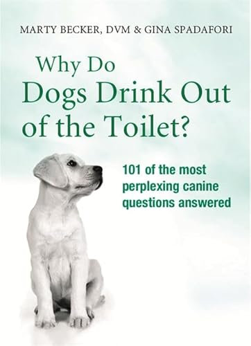 Why Do Dogs Drink Out Of The Toilet?