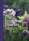 Bloomsbury