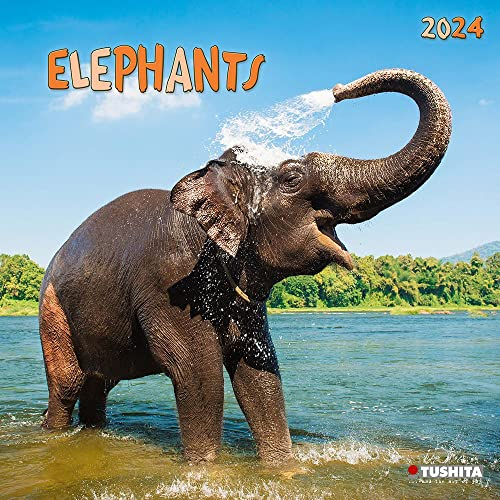 Elephant Families 2024: Kalender 2024 (Wonderful World)