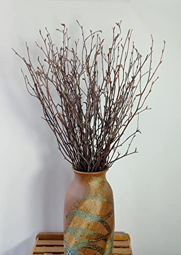 NatüRliche Birkenzweige Natur Dekorative Zum Basteln Birkenzweige Für Vasendekoration DIY Hochzeitsdekoration Birkenzweige Getrocknete Zweige Weihnachtsdekoration