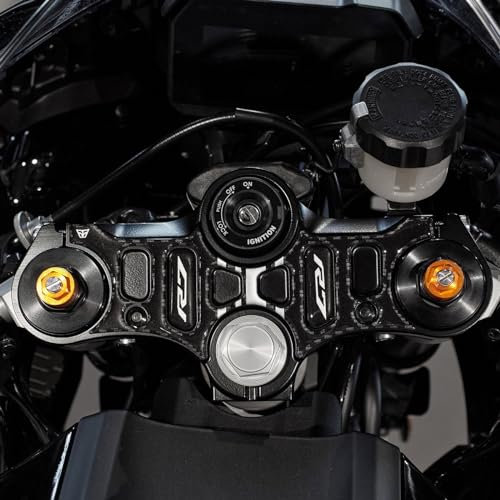 Resin Bike Adhesivos de Moto Compatibles con Yamaha YZF R7 2021-2025 Black. Protecciones Placa Direccion de Choques y Arañazos de Moto. Pegatinas 3D Resinadas Made in Italy