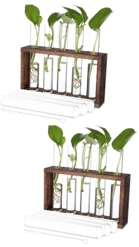 Sosoport 2 Pz contenitore contenitori office legno terrazzo casa tubi sospesi a parete di propagazione tubo di propagazione delle piante terrario da tavolo Alto borosilicato