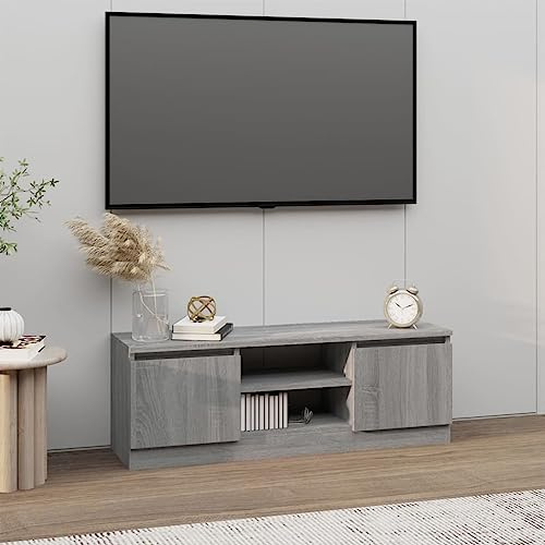 Mobile TV con porta, rovere grigio Sonoma, 102 x 30 x 36 cm, mobile in legno con 2 scomparti e ripiani per DVD e console