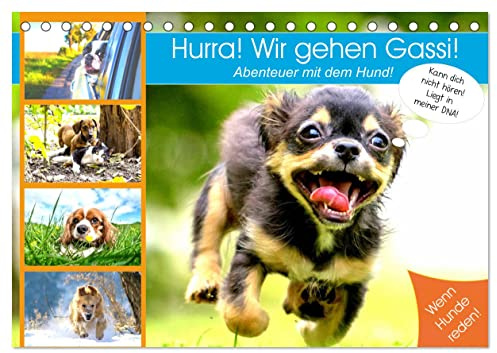 Hurra! Wir gehen Gassi! Abenteuer mit dem Hund! (Tischkalender 2026 DIN A5 quer), CALVENDO Monatskalender: Lustige Hundegedanken für humorvolle Liebhaber der kalten Nasen! (CALVENDO Tiere)