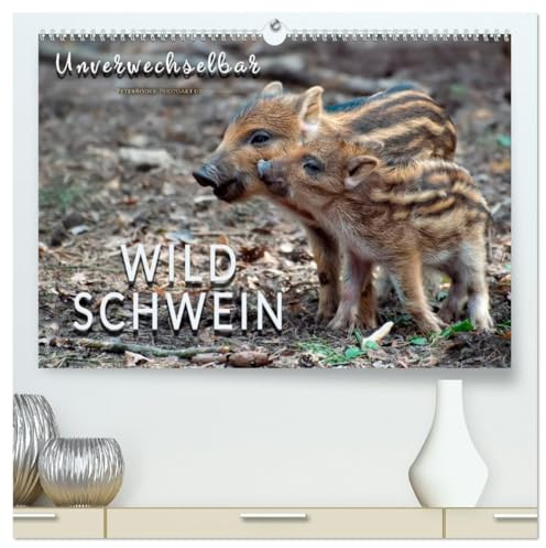 Unverwechselbar - Wildschwein (hochwertiger Premium Wandkalender 2026 DIN A2 quer), Kunstdruck in Hochglanz: Eindrucksvolle Bilder der borstigen Tiere. (CALVENDO Tiere)