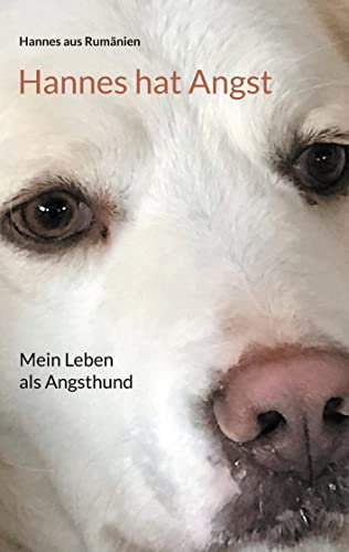 Hannes hat Angst: Mein Leben als Angsthund