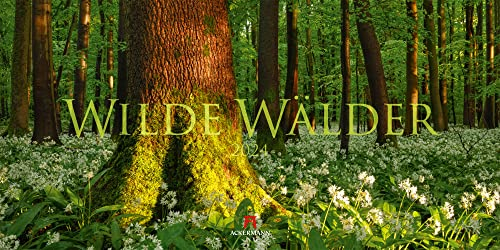 Wilde Wälder Kalender 2024, Wandkalender / Panoramakalender im Querformat (66x33 cm) - Landschaftskalender / Naturkalender