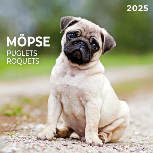 Möpse 2025: Kalender 2025 (Artwork Edition)