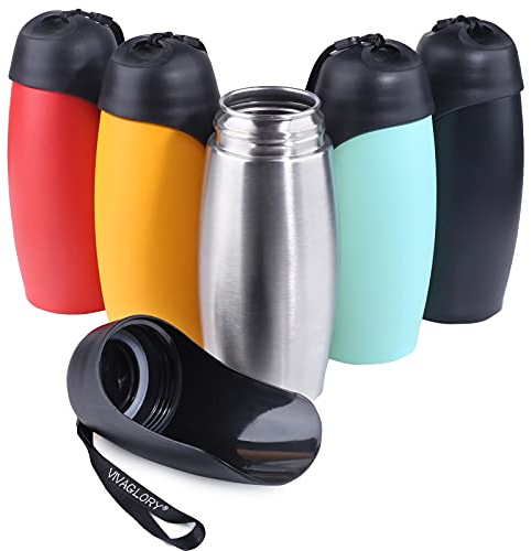 VIVAGLORY Pawhike Dog Water Bottle, Dog Drinking Bottle for Travel & Walking with Strap, Stainless Steel & Portable for Pet Puppy, 750ml, Stainless Steel