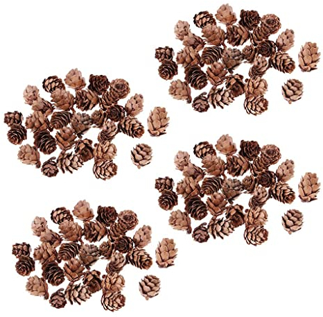 B Baosity 120 Stück Großhandel Mini Natürliche rustikale getrocknete Tannenzapfen in Bulk für Weihnachten, Party, Ornament, Floristen, Geschenkverpackung, Dekoration