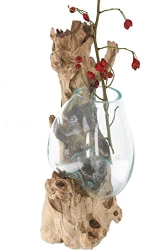 Guru-Shop Vase Mural en Bois de Ronce - Exotique Pour le Mur - Verre 20x20 cm M9, Marron, Pot de Fleurs