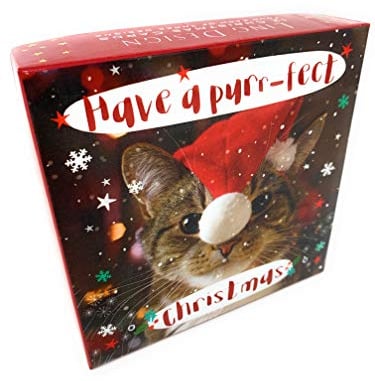 Ling Design XBD754 Weihnachtskarten mit lustigem Tiermotiv, 12 Stück