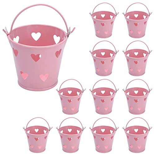 Mini Eimer 12 Stück Blecheimer Mit Tragegriff, Mini Eimer Bunt Gastgeschenk Hochzeit Party Taufe Süßigkeiten Bonbons Tischdeko Für Gartenpflanzen Home Party Dekoration 6 X 5,5 X 4 cm