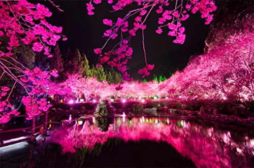 SWECOMZE DIY Diamond Painting Set, Kirschbaum Kirschblüte Landschaft, Full Bohrer Wanddekoration zum Selberbasteln, Wohnzimmerdekoration (A,40x30cm)