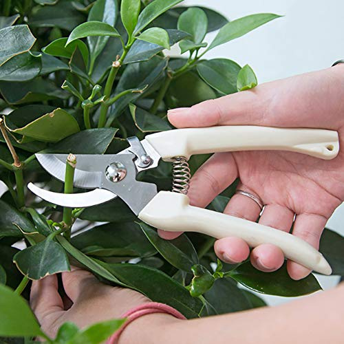 TOPINCN Rutschfeste Gartenschere aus Edelstahl, Ergonomisches Design, Langlebige Feder, Ideal für Hobbygärtner und Profis (Wie gezeigt)
