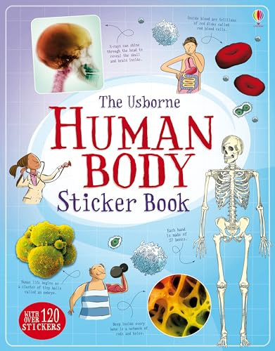 Human Body Sticker Book (Sticker Books)