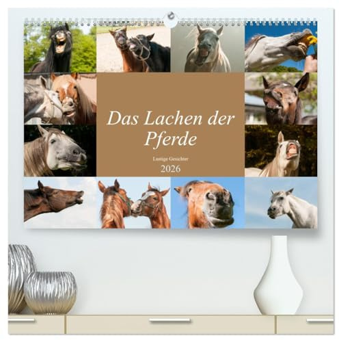 Das Lachen der Pferde - Lustige Gesichter (hochwertiger Premium Wandkalender 2026 DIN A2 quer), Kunstdruck in Hochglanz: Pferdeporträts die Spaß bereiten (CALVENDO Tiere)
