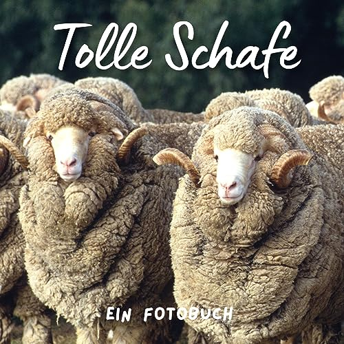 Tolle Schafe: Ein Fotobuch. Das perfekte Geschenk