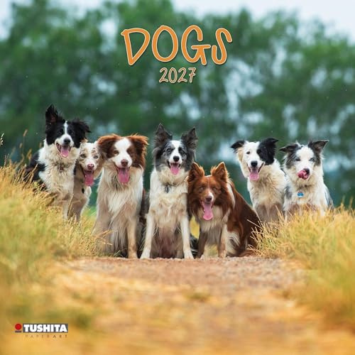 Dogs 2027: Kalender 2027 (Wonderful World)