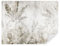 TAPEKO Papier Peint Panoramique Elégant Feuilles 400x280 cm Feuilles de Bananier sur un mur en Béton Papier Peint intissé pour Chambre Salon Décoration Murale u73886