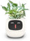 HYQNG Intelligenter Blumentopf für Zimmerpflanzen, intelligente Blumentöpfe, mit 49 reichhaltigen Ausdrücken, 7 intelligenten Sensoren, KI-Chips, LCD-Display, APP-Steuerung, intelligenter White