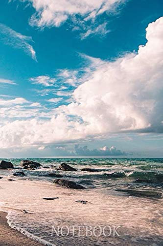 Notebook: (110 pages, Blank, 6x9 inches) Journal, Diary