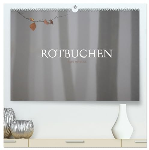 Rotbuchen (hochwertiger Premium Wandkalender 2026 DIN A2 quer), Kunstdruck in Hochglanz: Rotbuchen sind die dominierende Baumart unserer Heimat (CALVENDO Natur)