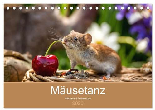 Mäusetanz (Tischkalender 2026 DIN A5 quer), CALVENDO Monatskalender: Mäuse auf der Futtersuche (CALVENDO Tiere)