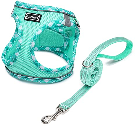 DORAMIO Hundegeschirr Kleine Hunde mit Leine, Step-in Geschirr Reflektierend Atmungsaktiv Brustgeschirr Anti Zug Sicherheitsgeschirr Katzengeschirr für Kleine Hunde, Katzen (Hellgrün, S)