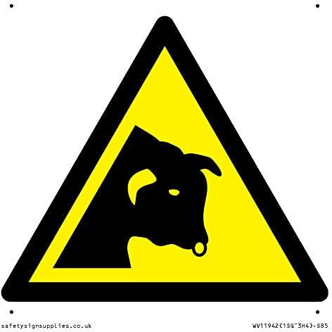 W034 Warnung: Bull Schild – 85 x 85 mm – S85