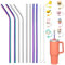 Bogoro Paille Inox Reutilisable 18 Pcs (4 Droites+4 Courbées+8 Silicone Protecteur+2 Brosses de Nettoyage),Paille Reutilisable en Acier Inoxydable Pailles Bubble Tea Paille en Inox (8 * 300mm)