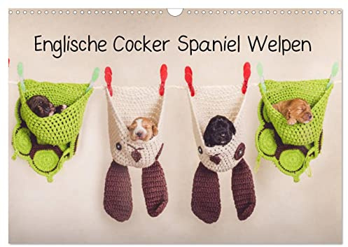 Englische Cocker Spaniel Welpen (Wandkalender 2026 DIN A3 quer), CALVENDO Monatskalender: Monatskalender mit Cocker Babys (CALVENDO Tiere)