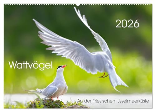 Wattvögel an der Friesischen IJsselmeerküste (Wandkalender 2026 DIN A2 quer), CALVENDO Monatskalender: Außergewöhnliche Aufnahmen von Wattvögel oder ... Friesischen IJsselmeerküste (CALVENDO Tiere)