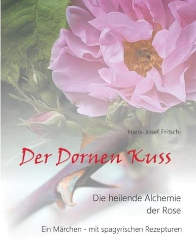 Der Dornen Kuss: Die heilende Alchemie der Rose
