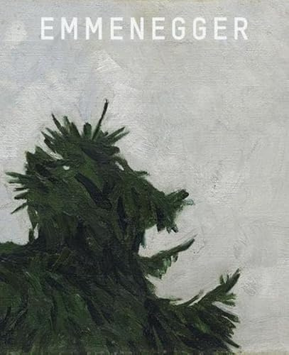 Hans Emmenegger: Kat. Kunstmuseum Luzern