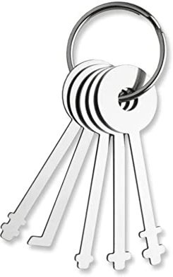 KSEC Pro Pick Warded Lock Pick Set - Specialized Tools for Warded Locks