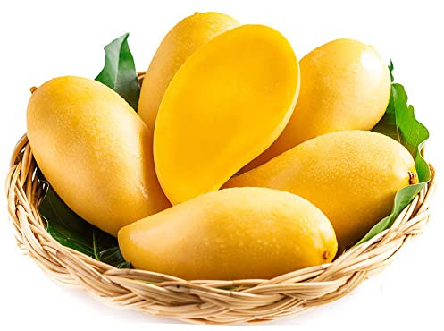 8 Stück mangobaum winterhart mango samen biosaatgut winterharte pflanzen für den garten alte sorten saatgut gartengeschenke wanddeko pflanzen kunst obstbäume kaufen