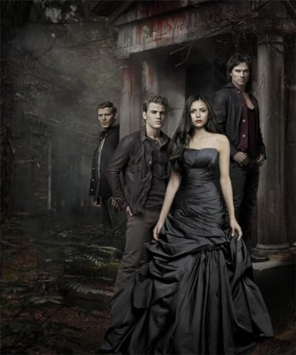 GerRit DIY 5d Diamond Malerei Kits für Erwachsene Kinder,Vampire Diaries art, Vollrunde Diamond Stickkits Cross -Stitch Kristall Strassbilder Kunsthandwerk Home Wall Decoration-40x50cm