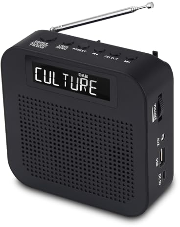 Bingxue Dab 3 registratore di Lettore Radio Portatile FM Altoparlante Digitale Sveglia/Ausiliare/Spina Auricolare USB