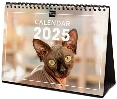 Finocam - Bebilderter Tischkalender International 2025 Monatsansicht Januar 2025 bis Dezember 2025 (12 Monate) Cats International