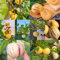 semillas de melón pera - Plantando un melón peral Árboles frutales plantas decorativas jardinería en macetas Plantas resistentes al invierno para balcones árboles frutales enanos 100pcs