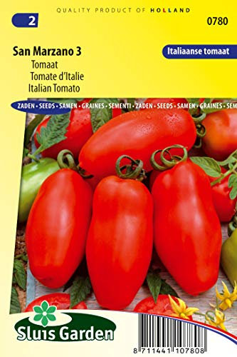 Tomato San Marzano 3 Gemüsesamen pro Gramm – Eine echte italienische Tomate, ideal für die Haut und für sonnengetrocknete Tomaten – 0,2 g – Samen pro Gramm: +/-75