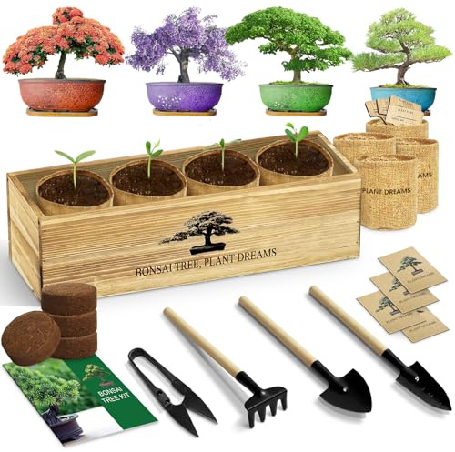 LUOJIBIE Bonsai-Baum-Set, komplettes Bonzai-Baum-Starter-Kits mit Werkzeugen, einzigartige DIY-Gartengeschenke für Mutter, Frauen, Männer, Basteln, Hobby-Kits, Bonsai-Baum wachsen