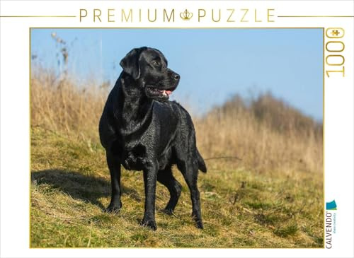 CALVENDO Puzzle Labrador Retriever - Rüde | 1000 Teile Lege-Größe 64 x 48 cm Foto-Puzzle für glückliche Stunden
