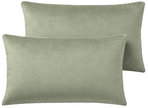 Soifox 2er Set Kissenbezug 40 x 80 - Salbeigrün Samt Zierkissenbezüge Weich Flauschig Kuschelig Kissenbezüge Deko Kissen Sofakissen Lendenkissen Wurfkissenbezug Schlafzimmer Kissenhülle
