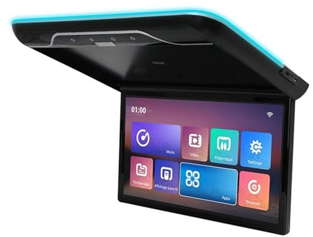 Monitor da tetto for auto 22 pollici, TV con lettore video ribaltabile, schermo IPS soffitto, luci ambientali a 16 colori(Black)
