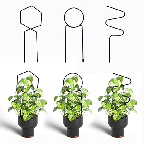 Savita 3 Pièces Treillis pour Plantes en Pot, Treillis Plantes Grimpantes en Métal, Petit Treillis de Jardin pour Plantes Grimpantes Plantes D'intérieur Plantes en Pot (Noir)