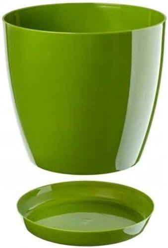 B2C Plant Pot Flower 20 Colours 9 sizes Gloss Plastic Plant Pots Planter Saucer Tray Deco (23 cm/ 9 inch, Green)