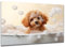 DARO Design - Toiletten-Bild auf 6mm HDF 40x30 cm Hunde-Welpe Pudel in der Badewanne - Wand-Deko Bilder Lustiges Geschenk